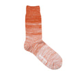 Load image into Gallery viewer, Organic Cotton Gradient Crew Sock