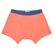 Load image into Gallery viewer, Organic Cotton Boxer Briefs - Burnt Sienna