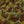 Load image into Gallery viewer, Nigel Cabourn Embroidered Arrow Sweat Short - US Camo - Large
