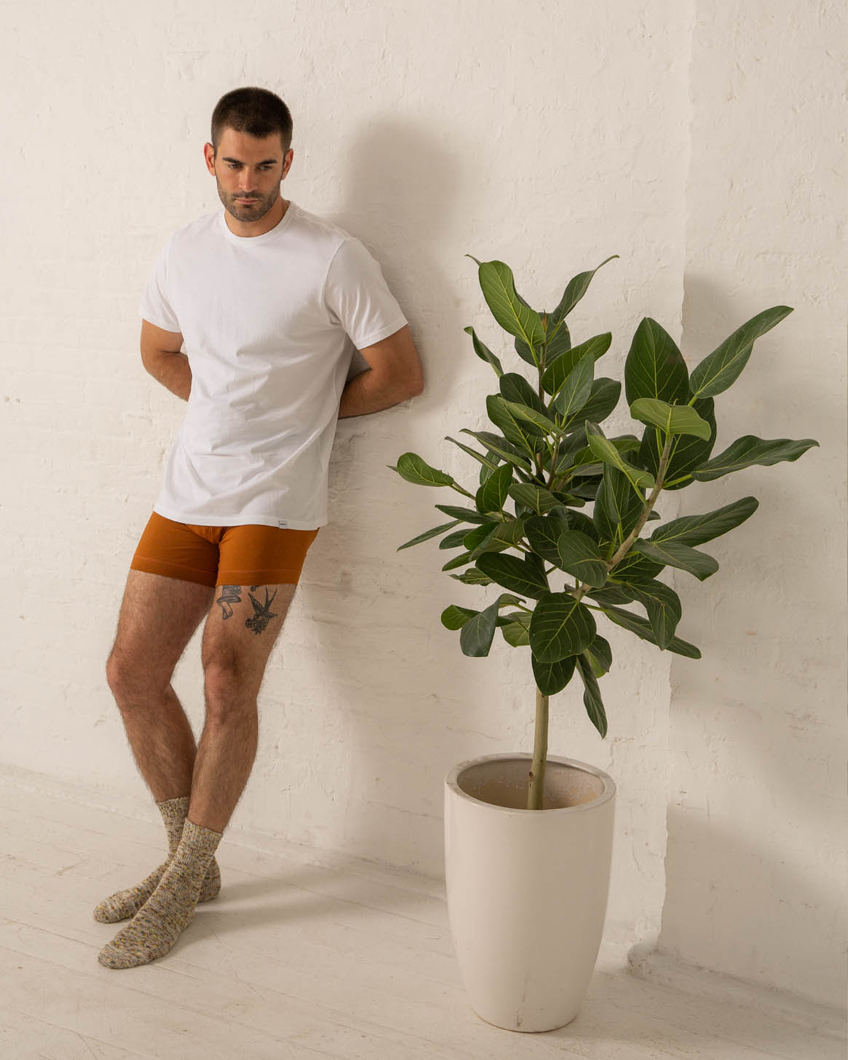 Organic Cotton Boxer Briefs - Terra Cotta