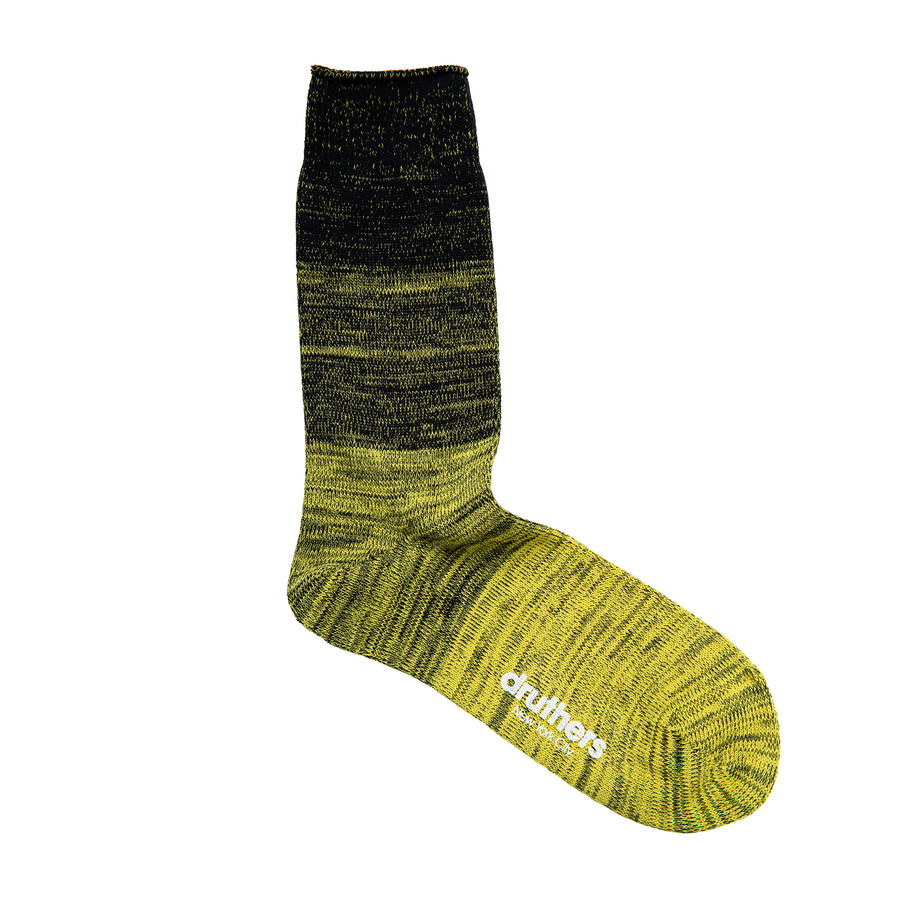 Organic Cotton Gradient Crew Sock