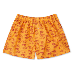 Organic Cotton Gorey Sketch Shroom Boxer Short